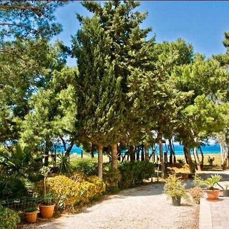 Appartamento I Tramonti Di Cofano Castelluzzo Kültér fotó