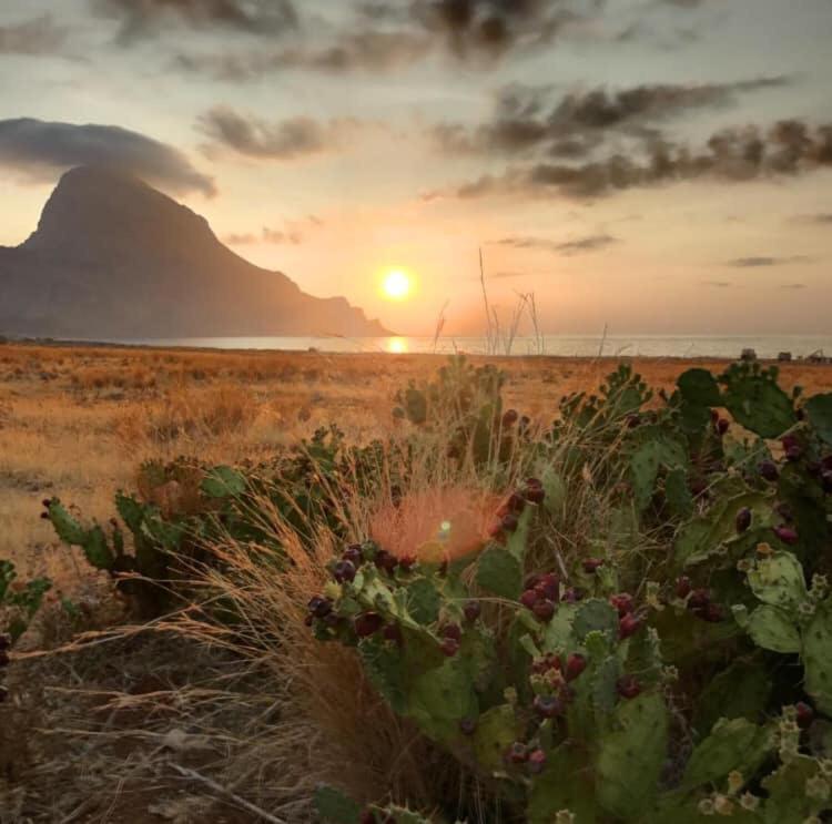 Appartamento I Tramonti Di Cofano Castelluzzo Kültér fotó