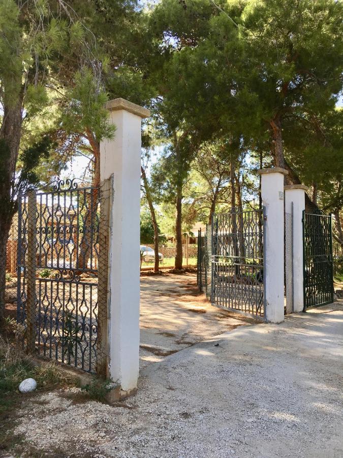 Appartamento I Tramonti Di Cofano Castelluzzo Kültér fotó