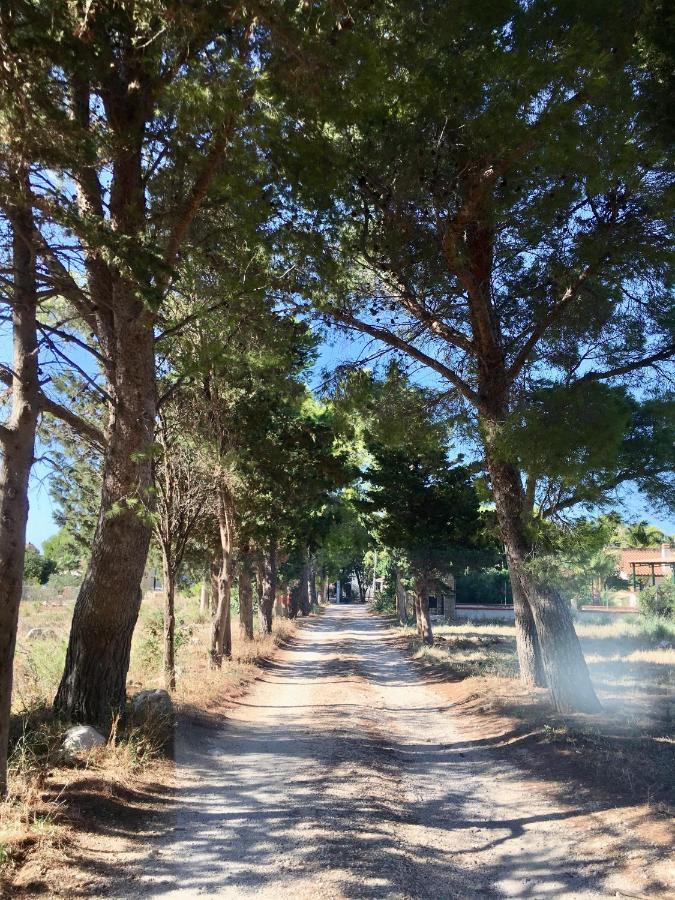 Appartamento I Tramonti Di Cofano Castelluzzo Kültér fotó