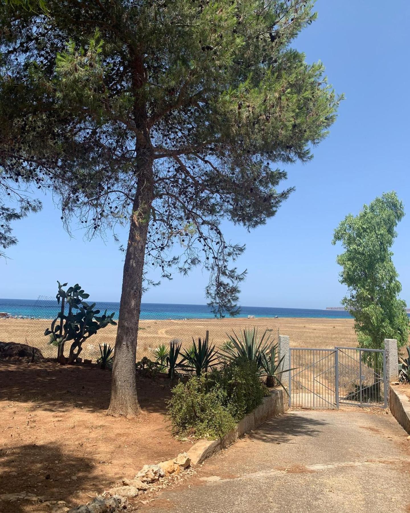 Appartamento I Tramonti Di Cofano Castelluzzo Kültér fotó