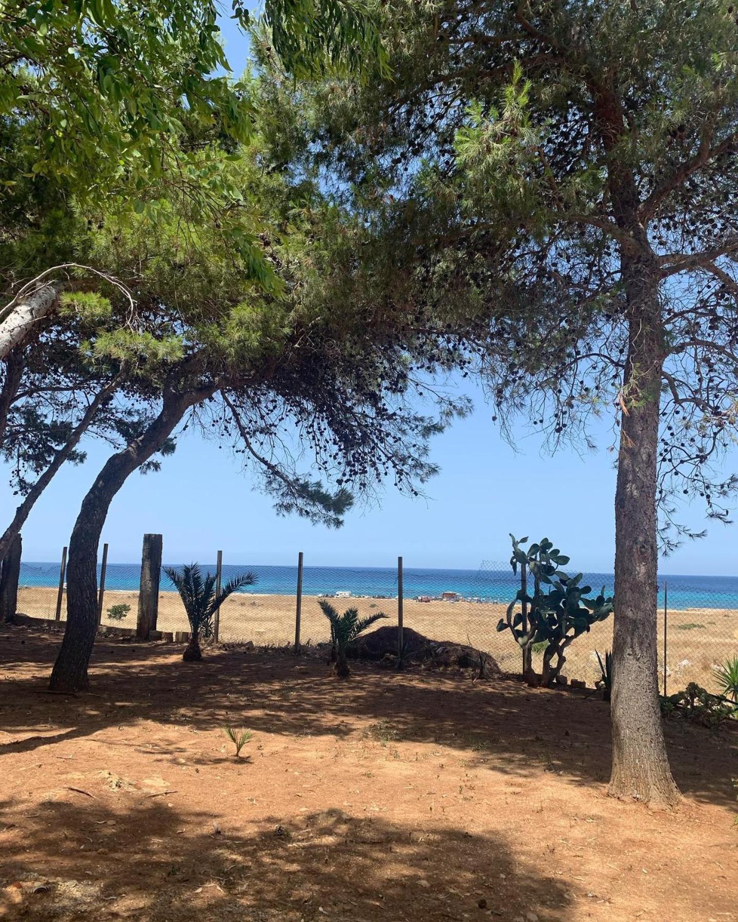 Appartamento I Tramonti Di Cofano Castelluzzo Kültér fotó